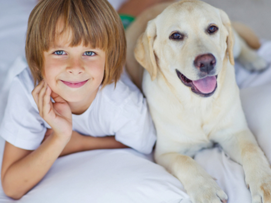 ペットの犬を飼うことでも自閉症の子どもの家庭のストレスは減る