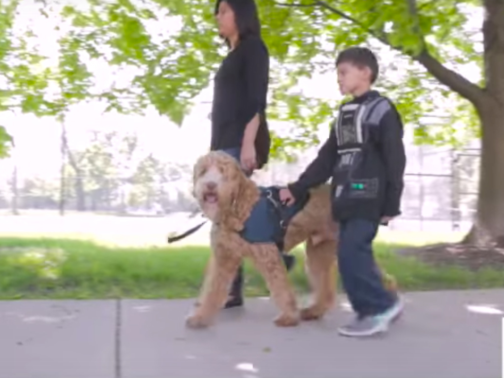 安心を手に入れました。自閉症の子の安全を守ってくれる介助犬