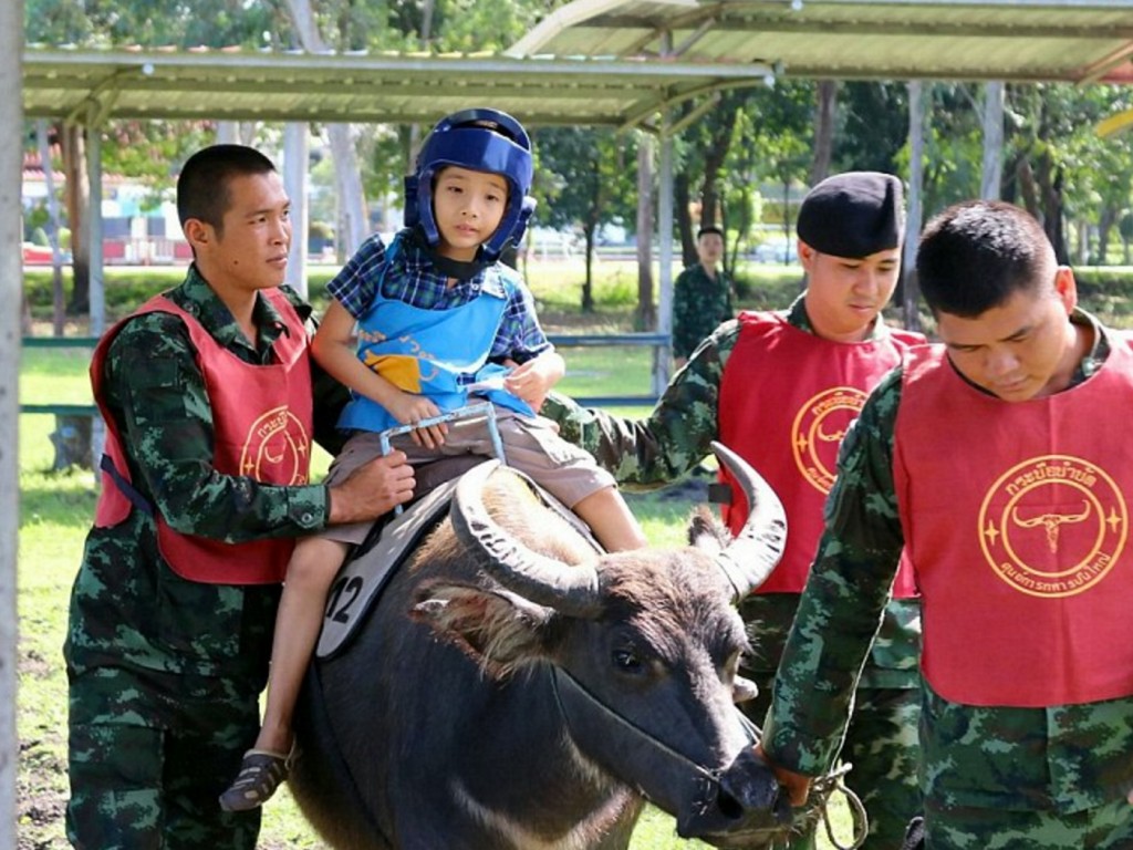 タイ陸軍が始めた発達障害児への牛セラピー