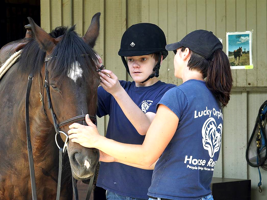 発達障害の子を助ける辛い経験をした馬たち