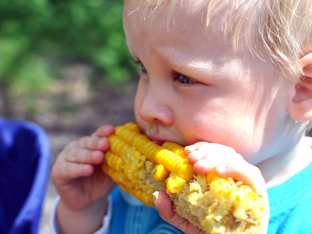 発達障害の子はそうでない子より食物アレルギーの可能性が２倍？