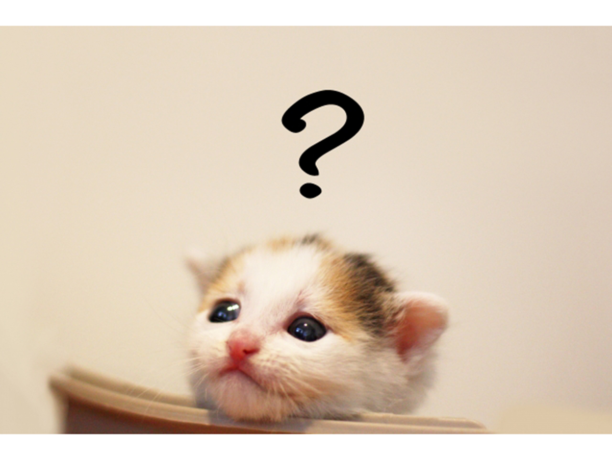 大人になるまで見過ごされる発達障害、なぜそこまで気付かない?