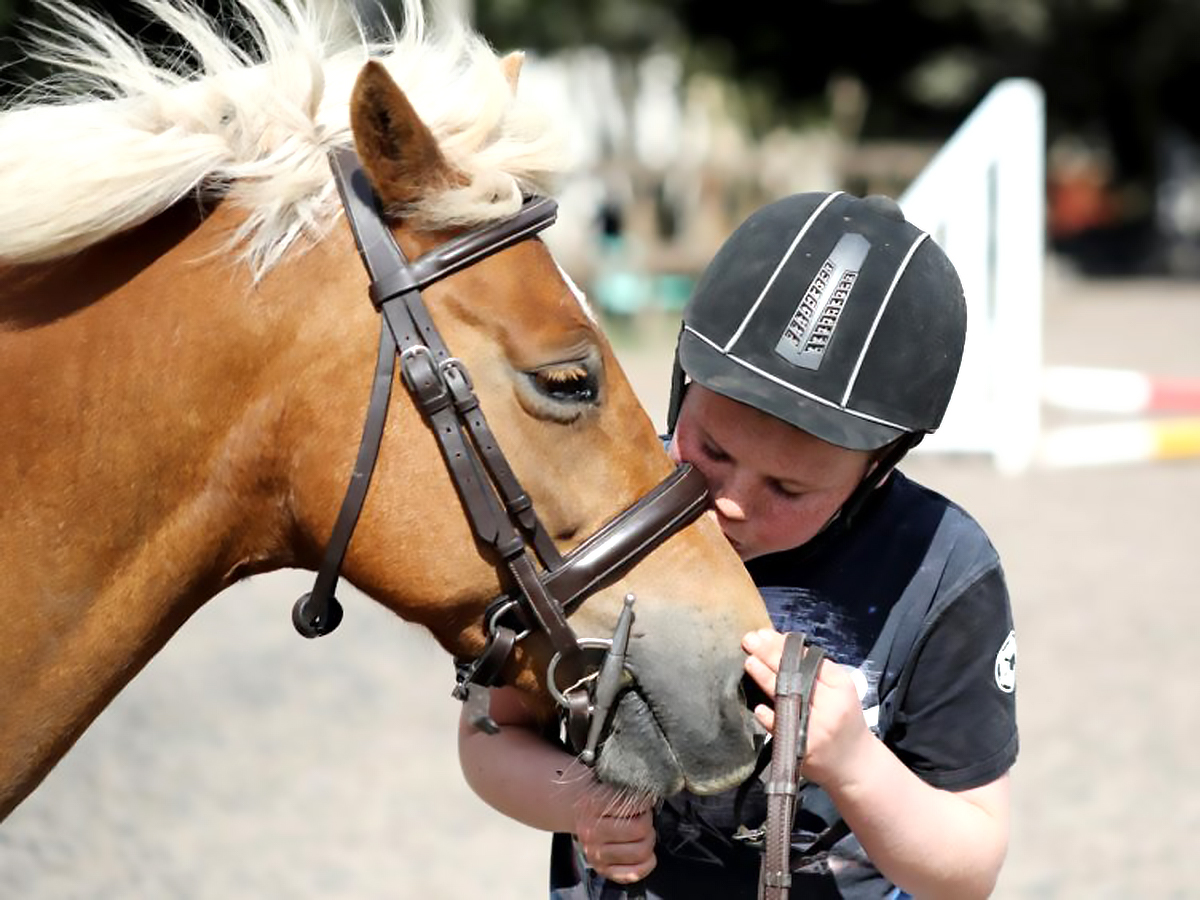 発達障害の子は乗馬をするようになってから自分に自信がついた