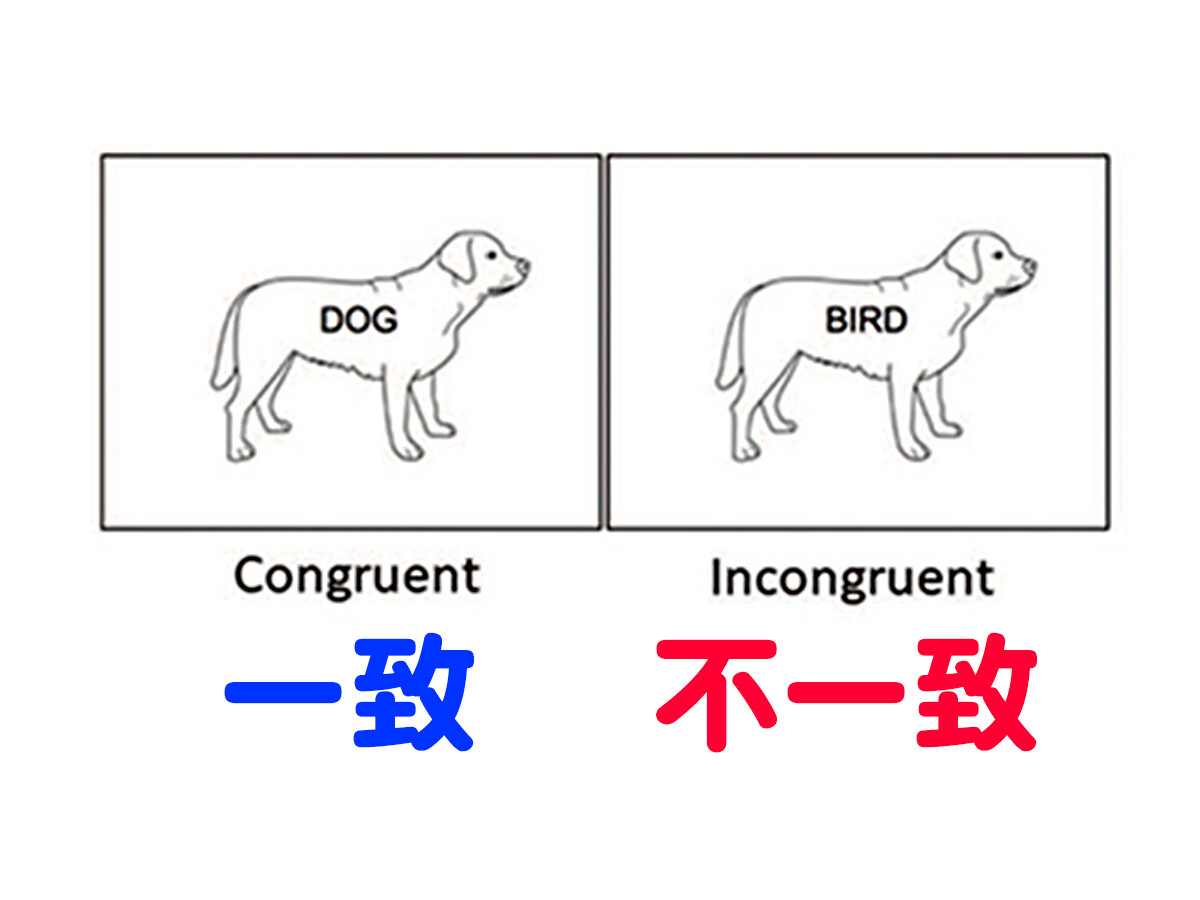 自閉症の反復行動などは認知能力に影響なし。うつ病だけ関係