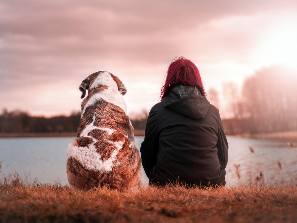 自閉症の子は一人ひとり異なる。犬よりもiPadが良いことも