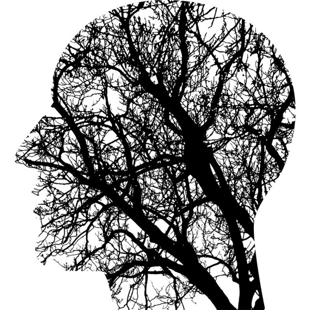 脳内血管の成長の問題が自閉症の原因となっている可能性。研究