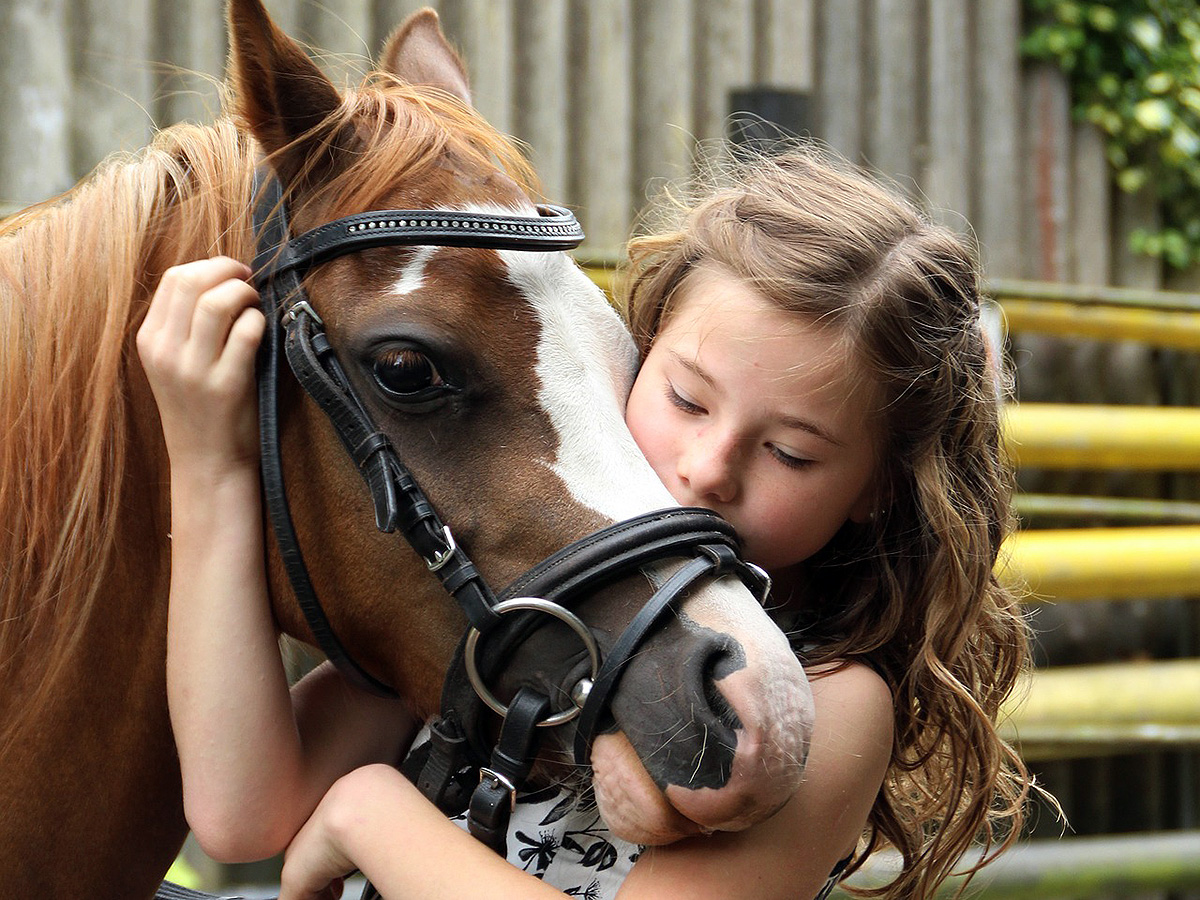 乗馬療育は社会性とコミュニケーションに良い効果。研究
