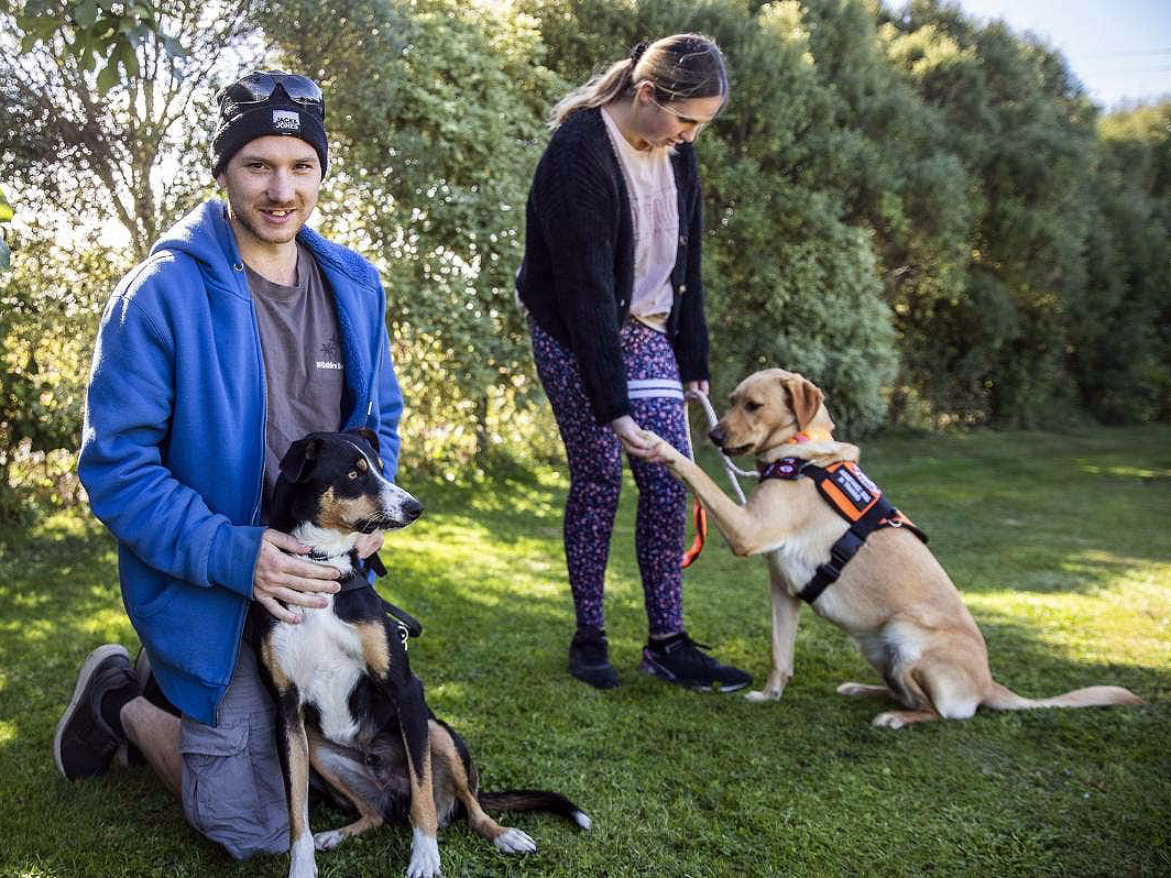 介助犬が自閉症の人に自信をつけ、一人で外出もできるように