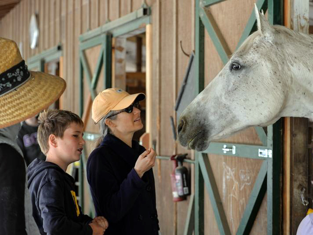 自閉症の人と競走馬として活躍できなくなった馬が助け合う場所