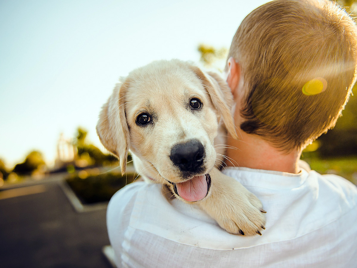 自閉症の子どものために犬を飼うべき５つの理由をおしえます