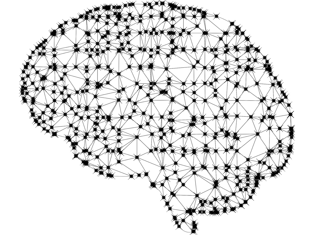 自閉症につながる脳発達の２つの異常パターン。米イェール大研究